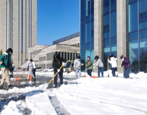 “我为群众办实事”系列报道(35)｜群众利益无小事 一枝一叶总关情