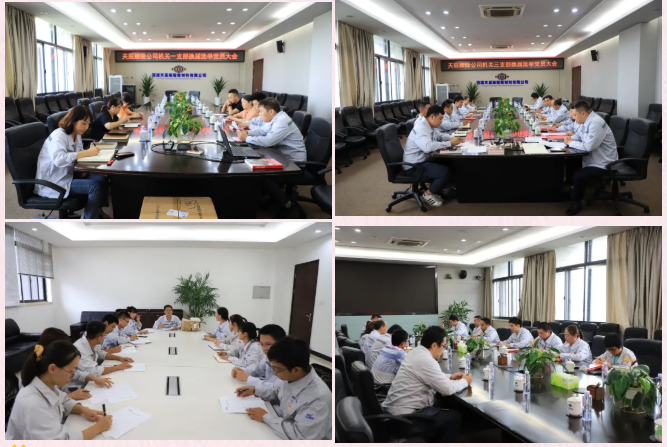 天辰耀隆公司各党支部换届选举工作圆满完成